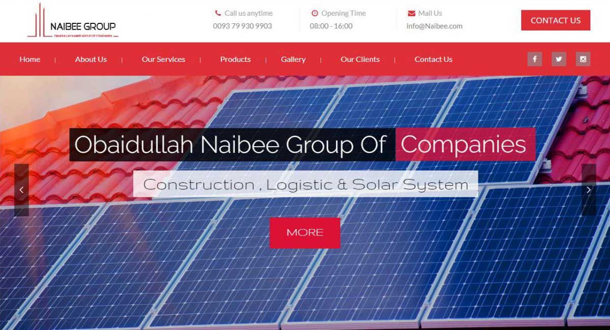 MSOFT Technologies Completed Naibee Group of Companies Website